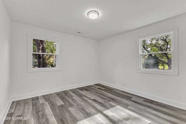 spare room with baseboards, wood finished floors, and a wealth of natural light