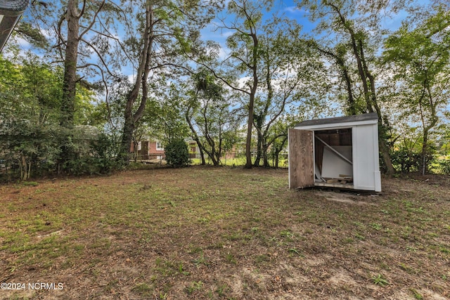 view of yard with a storage unit