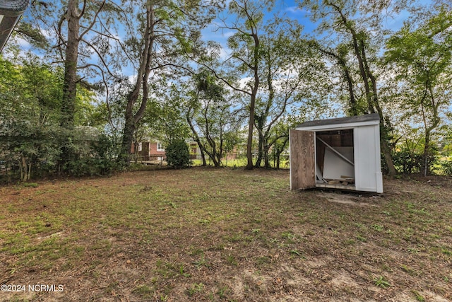 view of yard with an outdoor structure and a shed