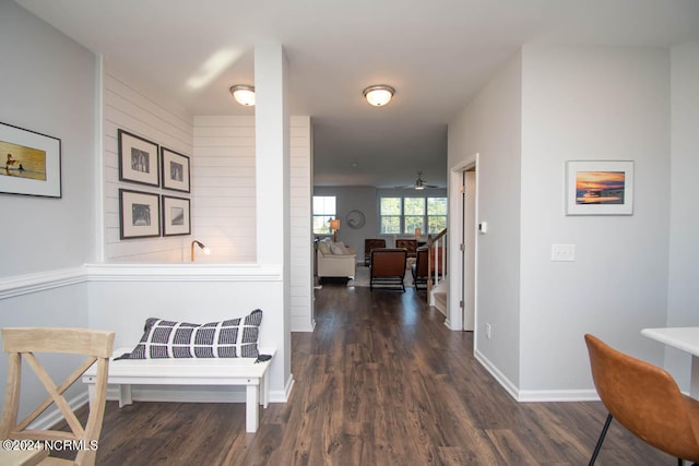 corridor with wood walls and dark hardwood / wood-style floors