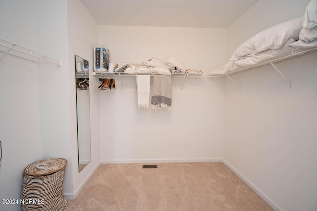 walk in closet with light carpet