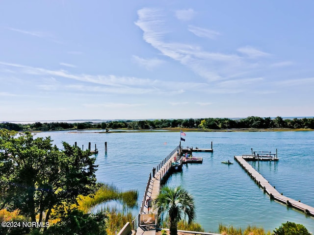 dock area with a water view