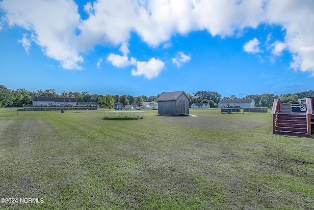 view of yard with a storage shed