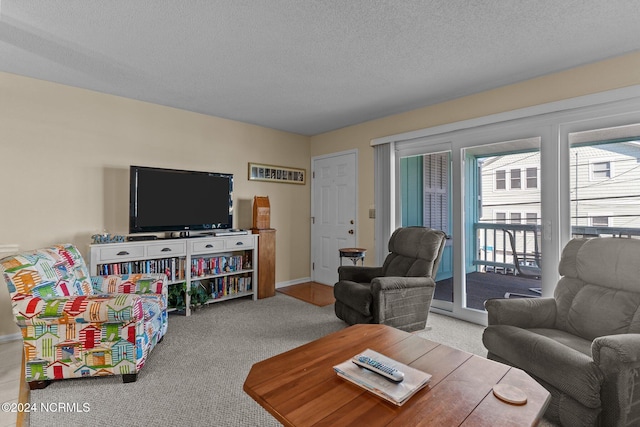 carpeted living room with a textured ceiling