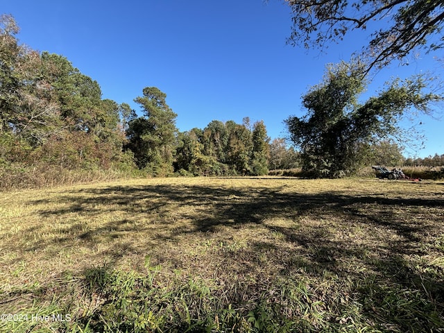 TBD Barney Tyler Rd, Hallsboro NC, 28442 land for sale