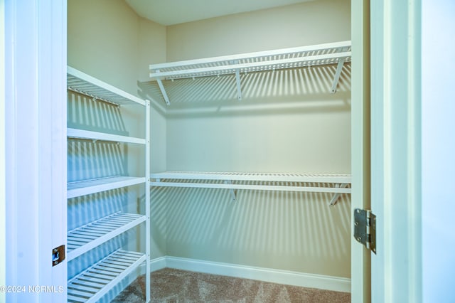 spacious closet with carpet floors