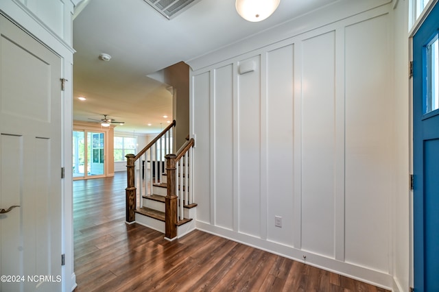 entryway featuring dark hardwood / wood-style flooring and ceiling fan