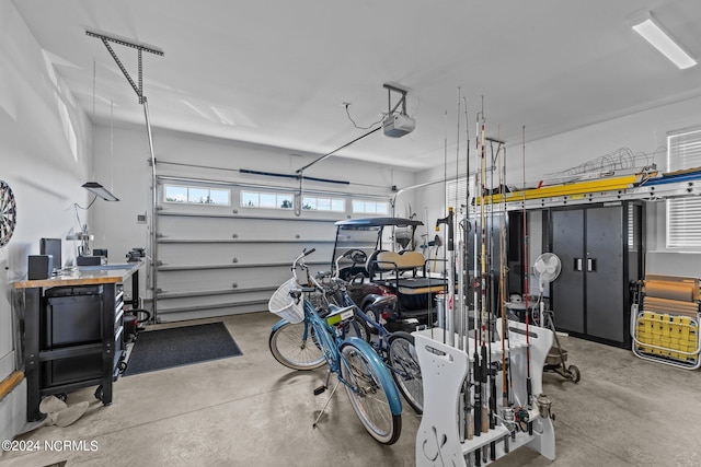 garage with a garage door opener