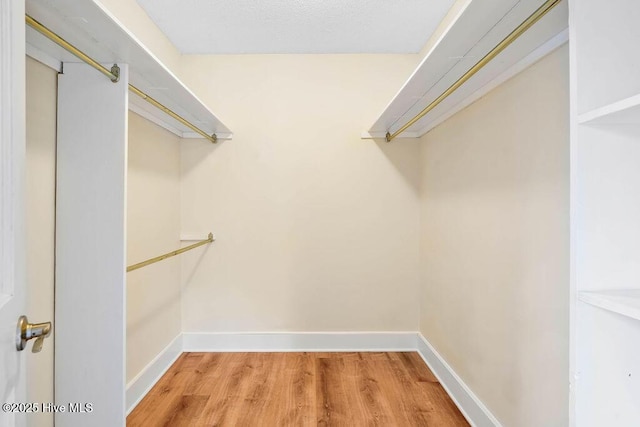 spacious closet with hardwood / wood-style floors