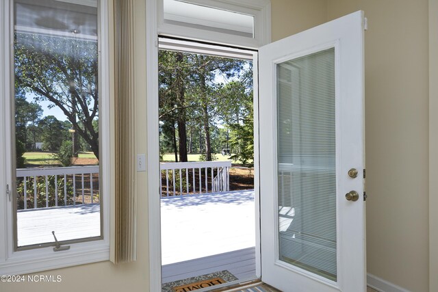 doorway with a wealth of natural light