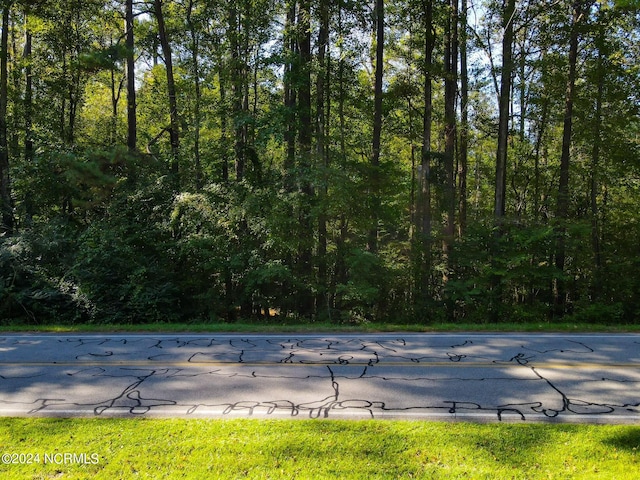 Listing photo 2 for TBD Terry Bridge Rd, Rockingham NC 28379