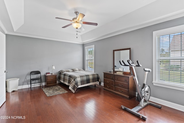 bedroom with ceiling fan, ornamental molding, a raised ceiling, and dark hardwood / wood-style flooring