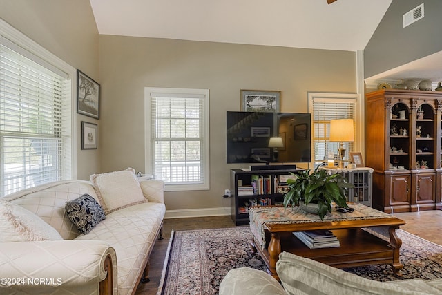 living room featuring lofted ceiling