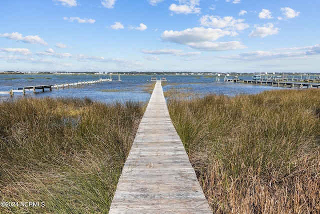 dock area featuring a water view