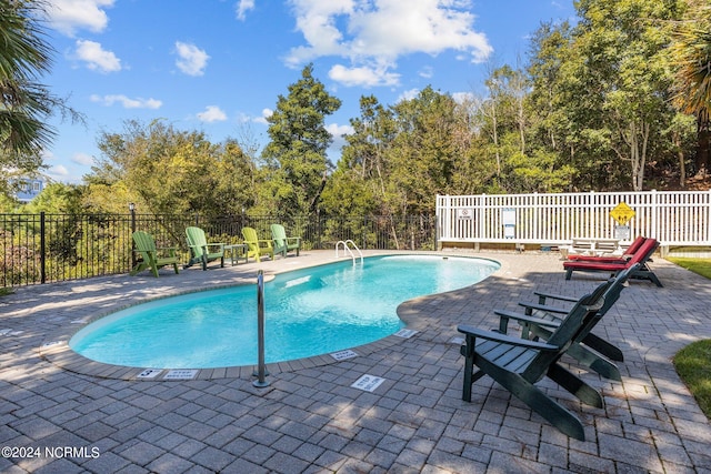 view of swimming pool featuring a patio area