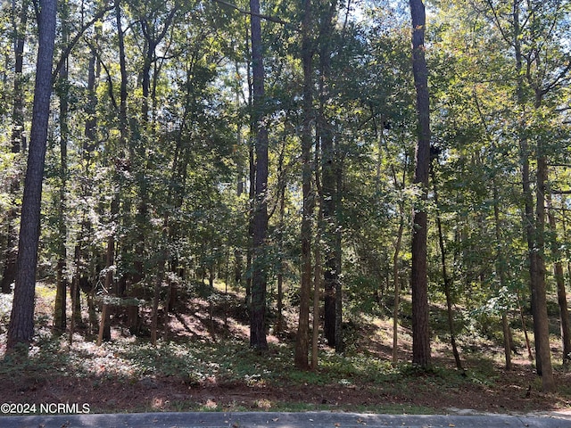 3056 Valderama Way SE, Bolivia NC, 28422 land for sale