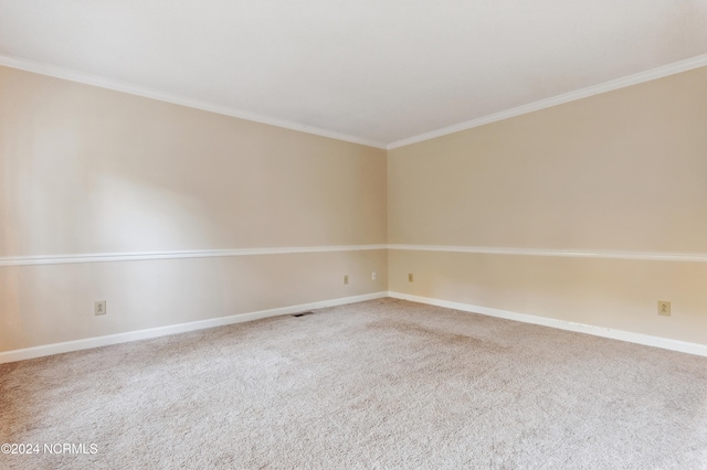 unfurnished room featuring crown molding and carpet flooring