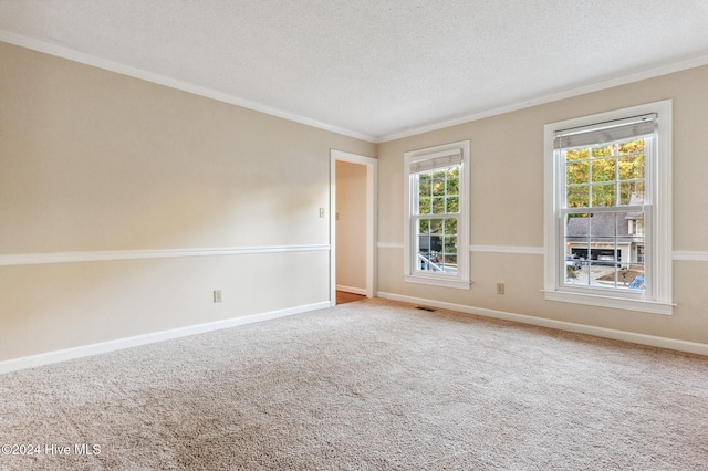 carpeted empty room featuring ornamental molding and a textured ceiling