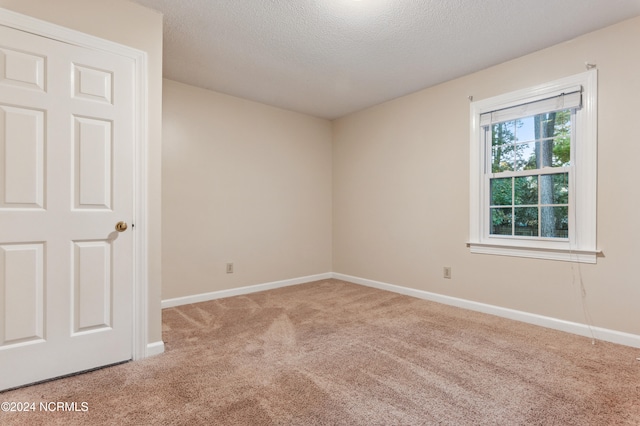 carpeted spare room with a textured ceiling