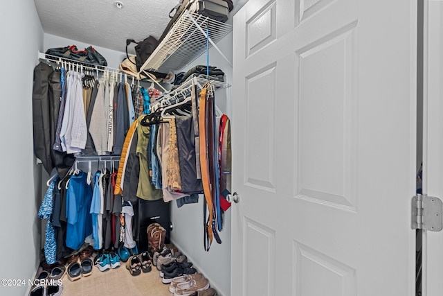 walk in closet with carpet flooring