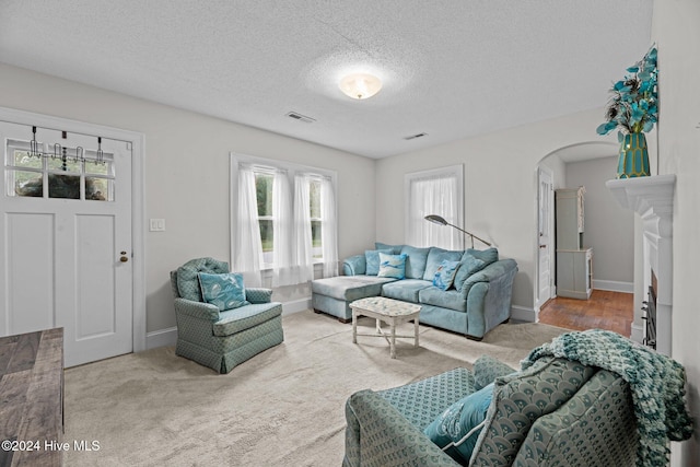 carpeted living room with a textured ceiling