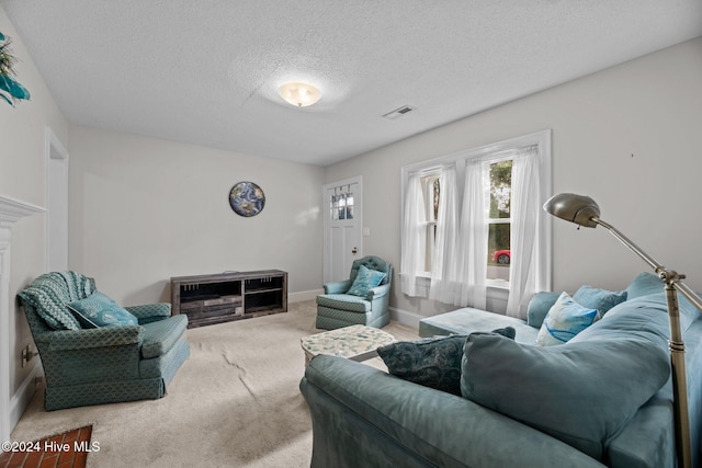 living room with carpet and a textured ceiling