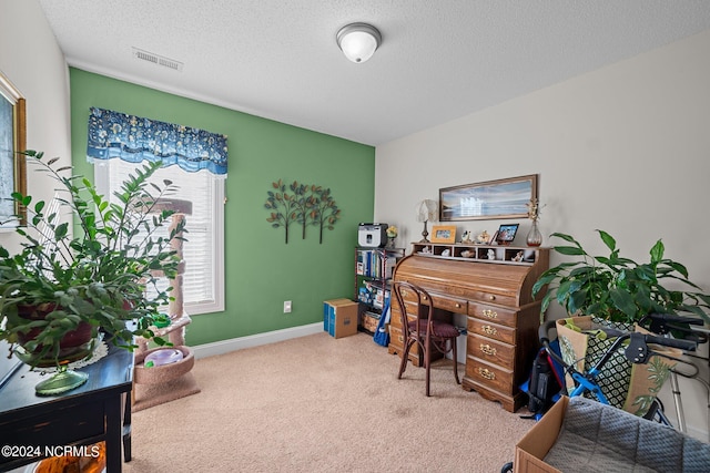 carpeted office space with a textured ceiling