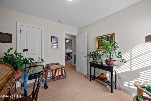 interior space featuring light colored carpet and a textured ceiling