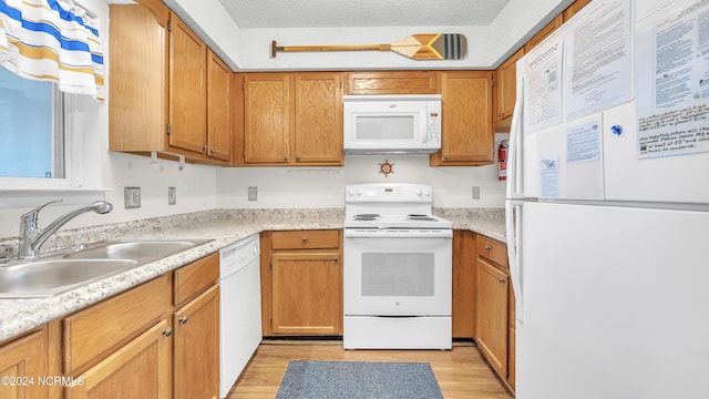kitchen featuring a sink, light countertops, light wood-type flooring, and white appliances