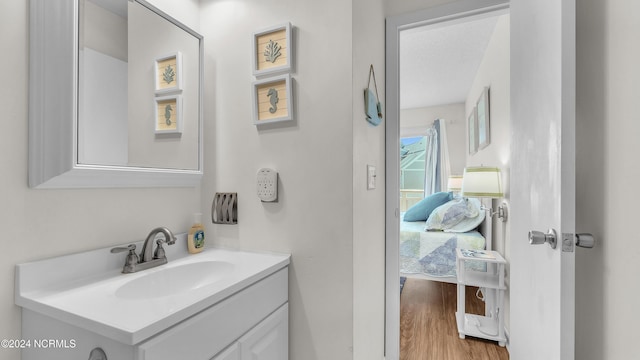 bathroom featuring wood finished floors and vanity