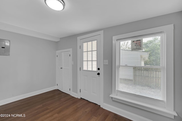 doorway with electric panel and dark wood-type flooring