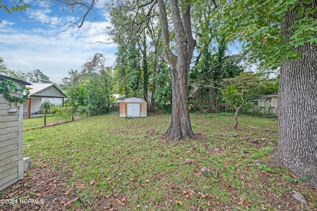 view of yard featuring a storage unit