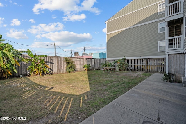 view of yard featuring a patio area