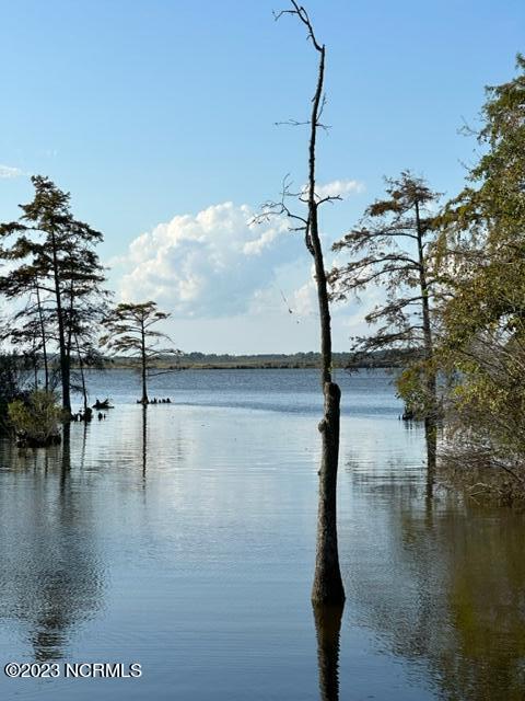 view of water feature