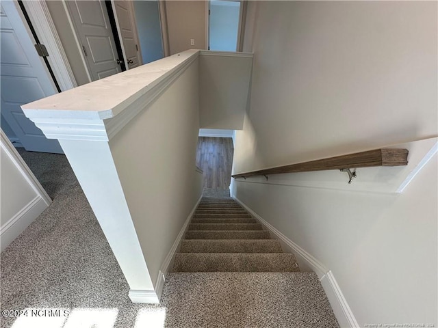 stairs featuring carpet flooring