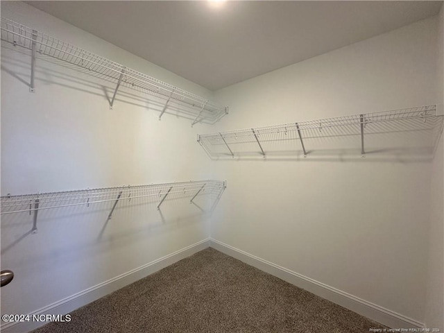 walk in closet with carpet