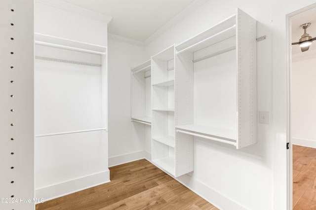 spacious closet with hardwood / wood-style floors