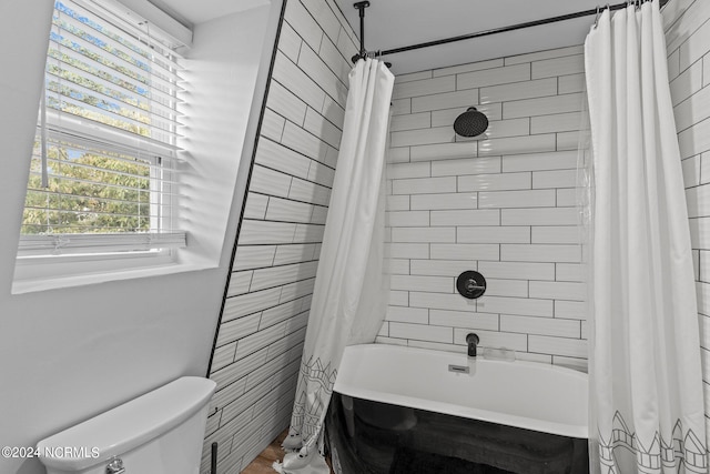 bathroom with shower / bath combination with curtain and toilet