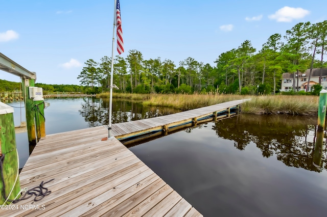 dock area featuring a water view