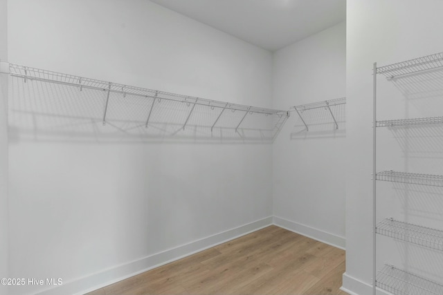 walk in closet with wood-type flooring