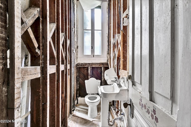 bathroom featuring toilet and a sink