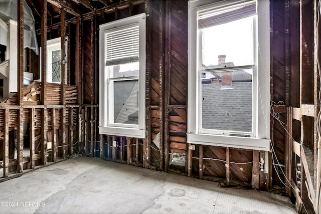 miscellaneous room with a wealth of natural light