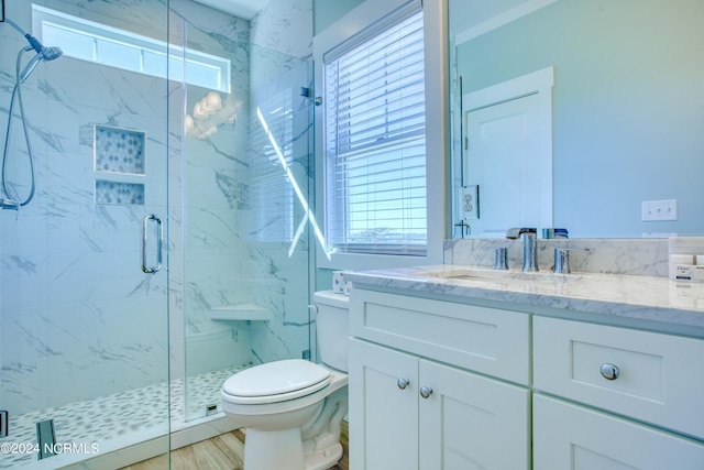 bathroom with toilet, walk in shower, vanity, and a wealth of natural light