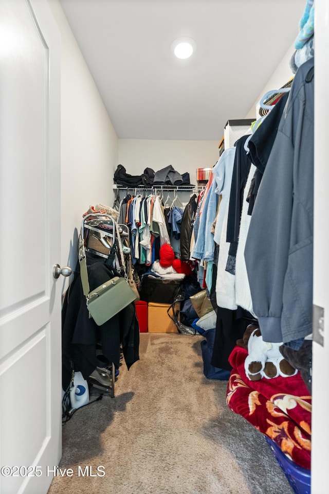 walk in closet with carpet