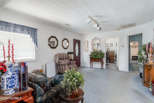 living room featuring a textured ceiling and rail lighting