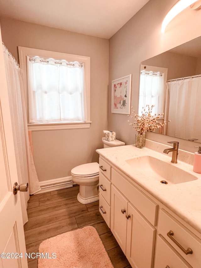 bathroom with hardwood / wood-style flooring, vanity, and toilet