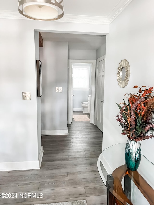 hall featuring ornamental molding and hardwood / wood-style floors