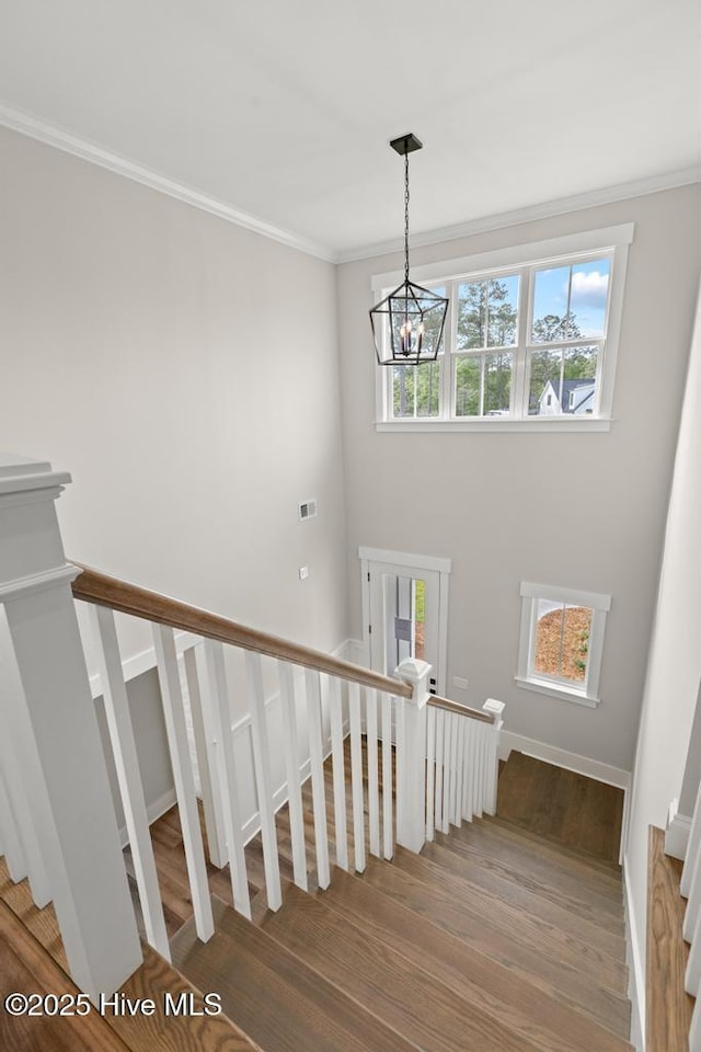 233 Hampton Ct, Hampstead, NC 28443 - miscellaneous file