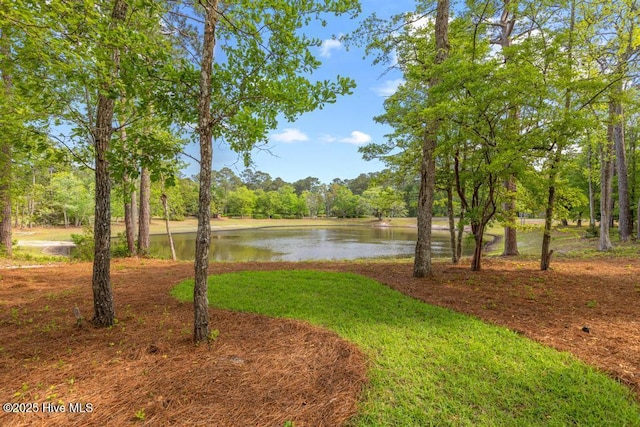 233 Hampton Ct, Hampstead, NC 28443 - property view of water