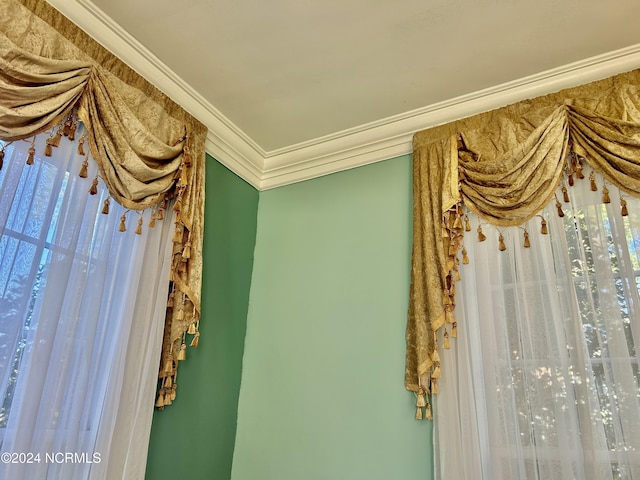 interior details featuring ornamental molding